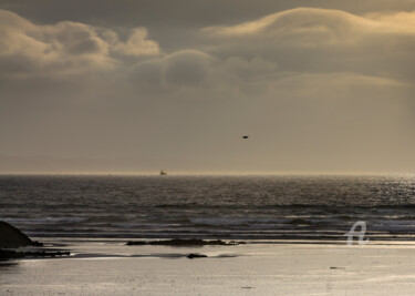 la mouette et le bolincheur