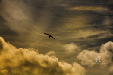 Par de là les nuages