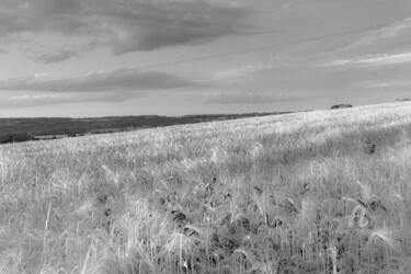 Perspectives champêtres