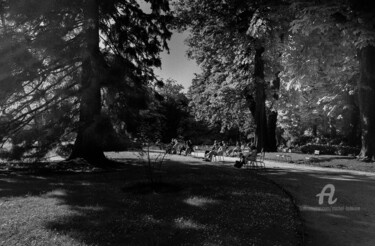 Les allées du jardin du Luxembourg.