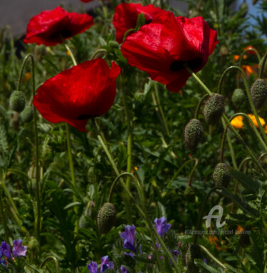 Farfouille de printemps