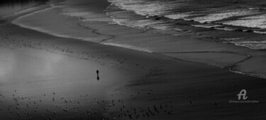 entre mer, reflet du ciel et mouettes