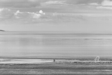 parallélisme et reflet du ciel