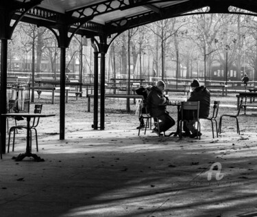 Echecs, ombre et lumière hivernales