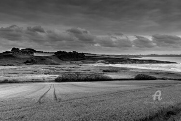 Ruralité maritime