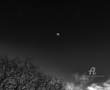 lune montante au-dessus de la clairière et des nuées