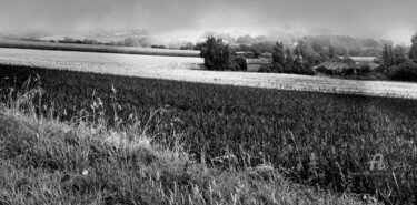 trouée dans la brume rurale baie de DZ